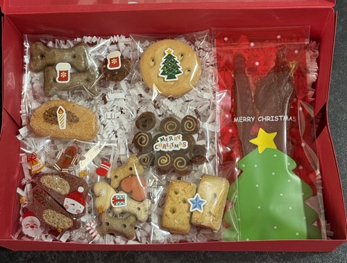 Dog hamper christmas treats - dog,