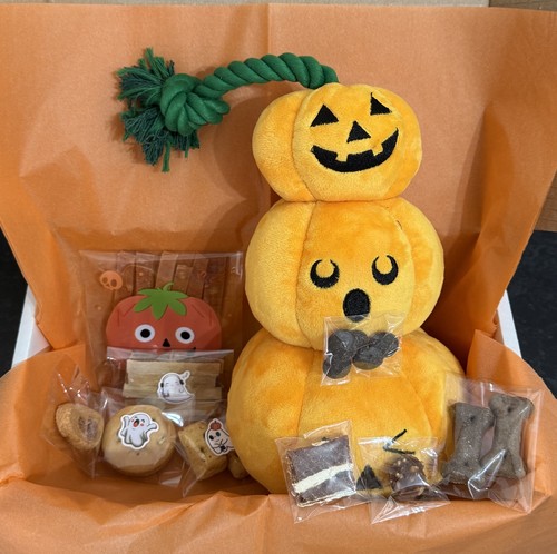 Dog hamper halloween treats - halloween,