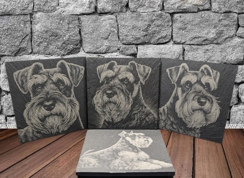 Set schnauzer slate - set, of