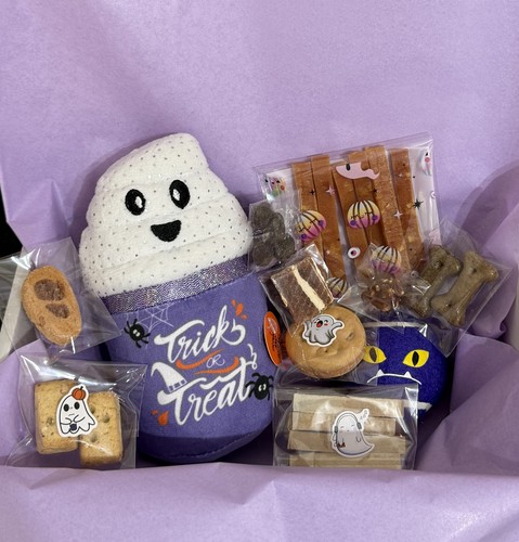 Dog hamper halloween treats - dog,