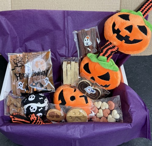 Dog hamper halloween treats - dog,