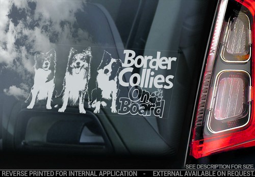 Border collies car - collies, sticker