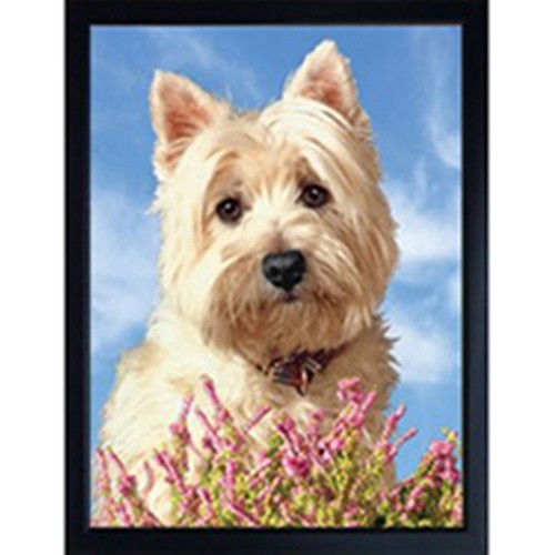 West highland gift ideas - gift,
