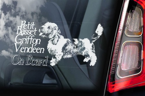Petit basset griffon - basset, vendeen