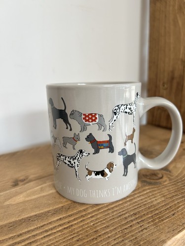 Sil interiors dog thinks - sil,