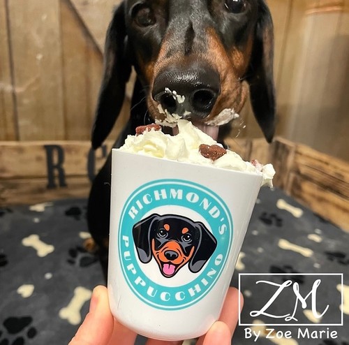 Personalised large puppuccino - personalised,