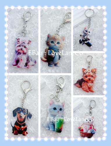 Cute dog cat - cute,