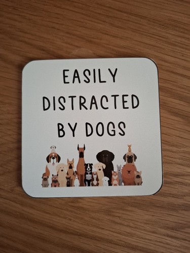 Easily distracted dogs - easily,