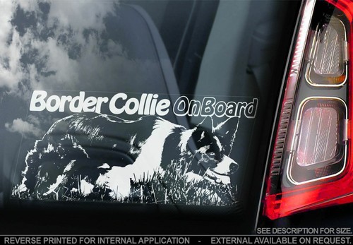 Border collie car sticker - car,