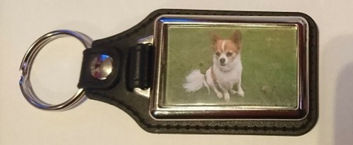 Personalised dog cat pet - personalised,